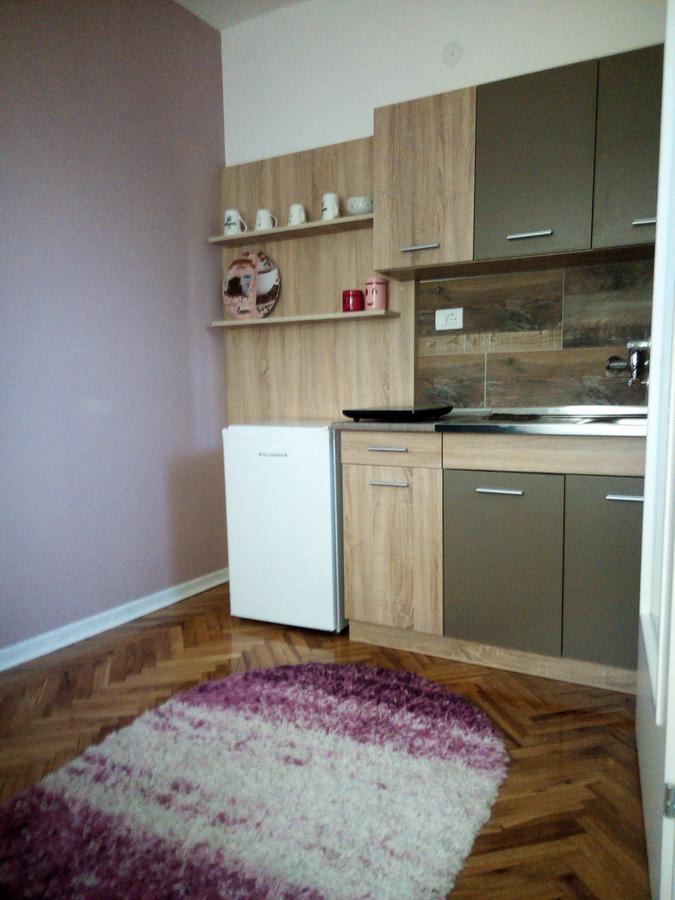 Apartment Holiday Vrnjacka Banja Exterior photo